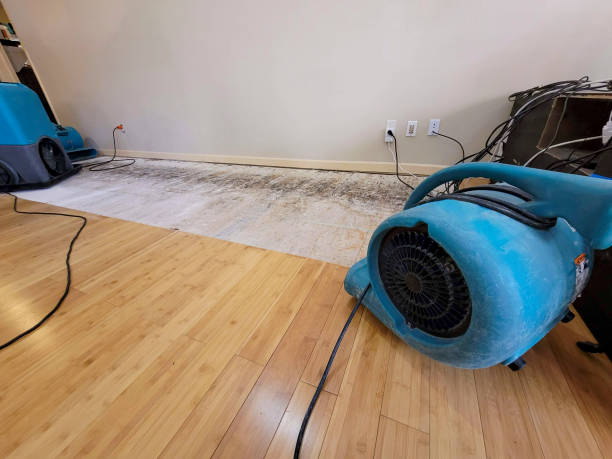 Professional Water Removal technician working in Townsend, WI